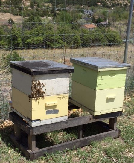 Beehive Initiative