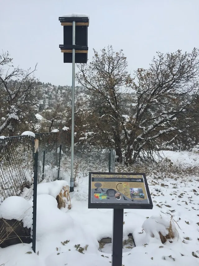 bat house in the snow