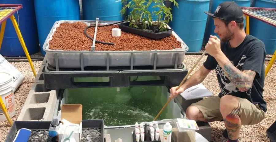 Aquaponics at the Greenhouse