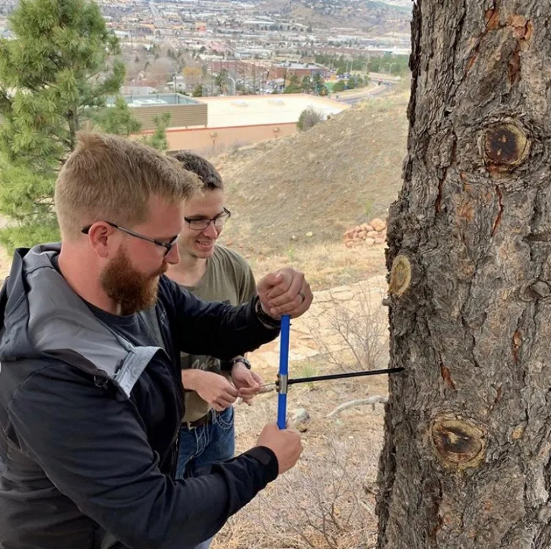 Tree Ring Research 