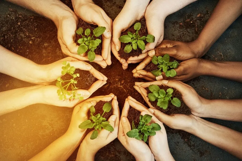 Circle of hands each holding plant