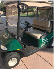Green electric golf cart