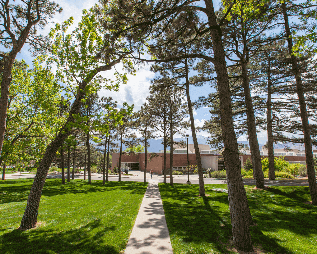 trees and path on Main Campus