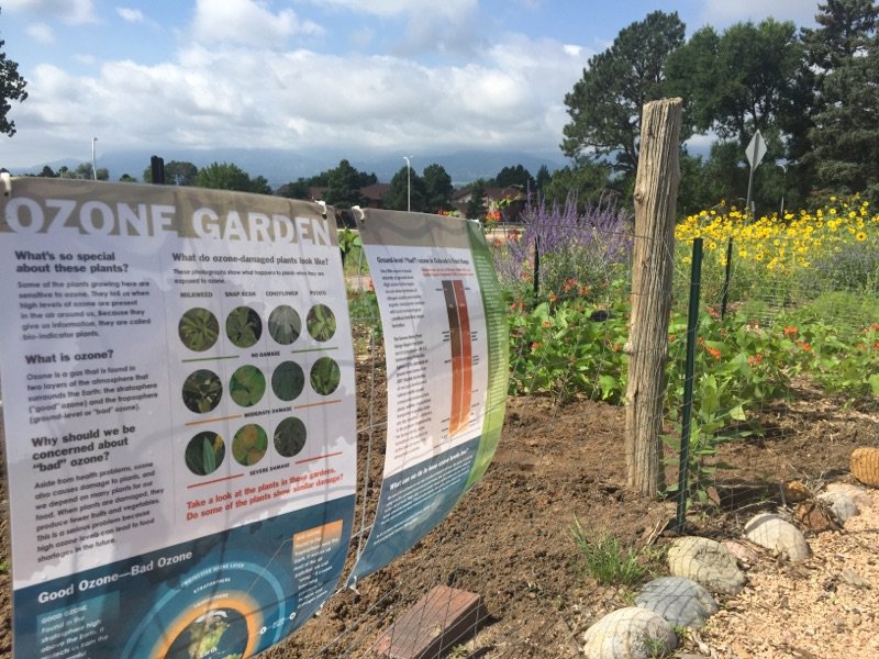 Ozone Garden